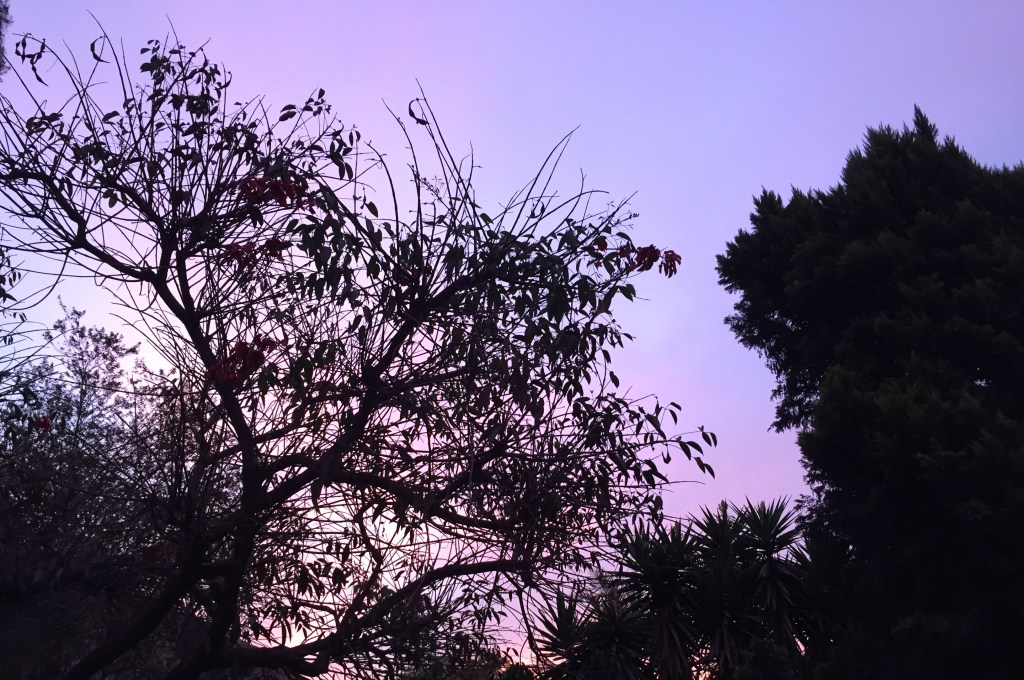 Amores de una&nbsp;vez