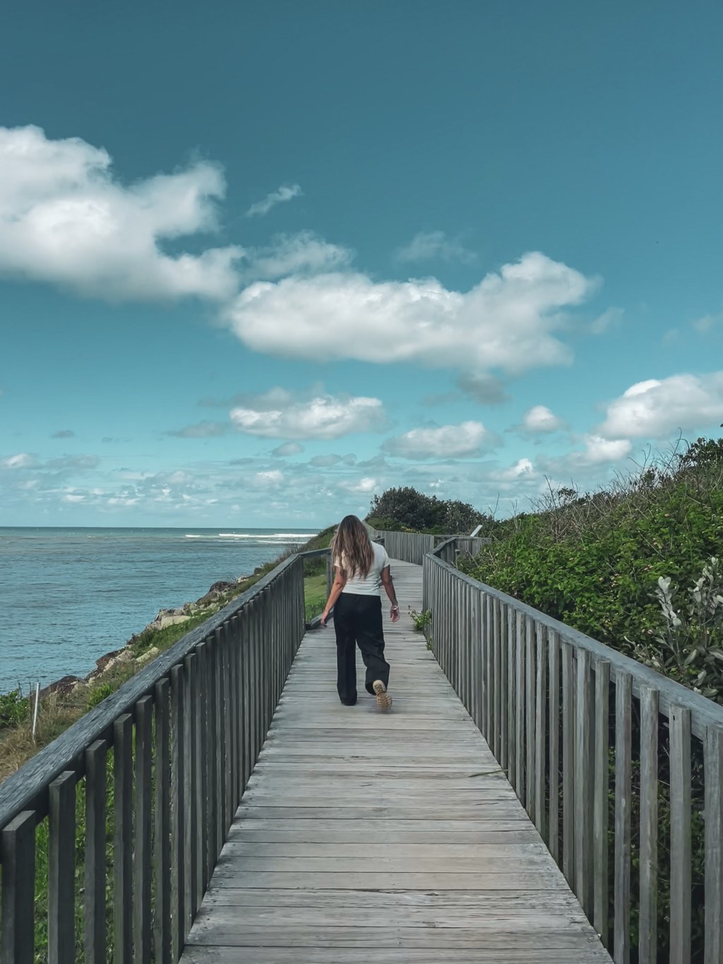 Crónica de una&nbsp;caída